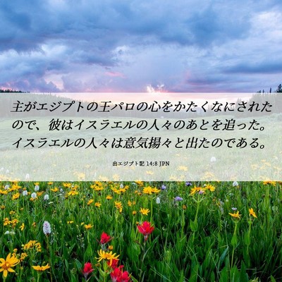 Picture 06 - 出エジプト記 14:8 JPN - 主がエジプトの王パロの心をかたく - Bible Verse Picture