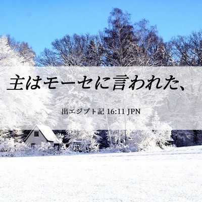 Picture 06 - 出エジプト記 16:11 JPN - 主はモーセに言われた、 - Bible Verse Picture