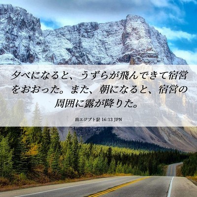 Picture 06 - 出エジプト記 16:13 JPN - 夕べになると、うずらが飛んできて - Bible Verse Picture