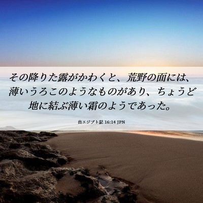 Picture 06 - 出エジプト記 16:14 JPN - その降りた露がかわくと、荒野の面 - Bible Verse Picture