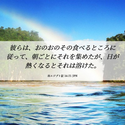 Picture 06 - 出エジプト記 16:21 JPN - 彼らは、おのおのその食べるところ - Bible Verse Picture