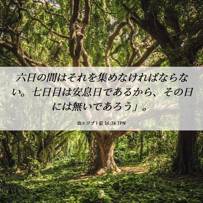 Picture 06 - 出エジプト記 16:26 JPN - 六日の間はそれを集めなければなら - Bible Verse Picture