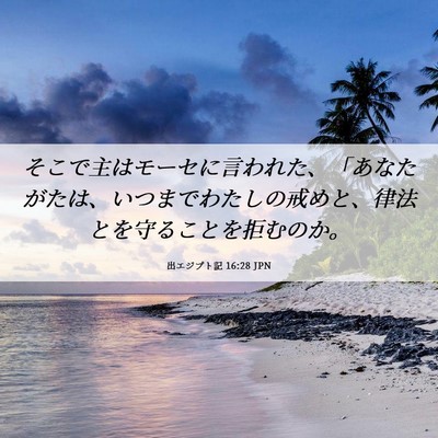 Picture 06 - 出エジプト記 16:28 JPN - そこで主はモーセに言われた、「あ - Bible Verse Picture
