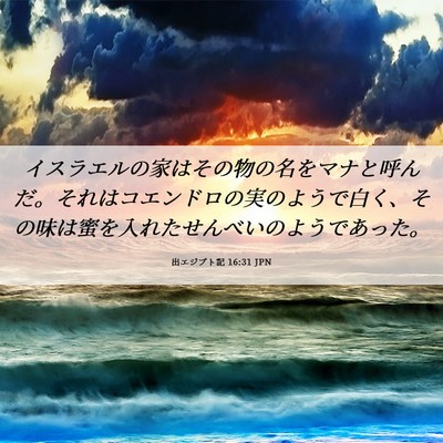 Picture 06 - 出エジプト記 16:31 JPN - イスラエルの家はその物の名をマナ - Bible Verse Picture