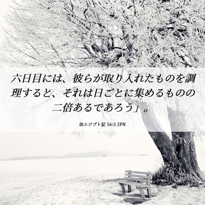 Picture 06 - 出エジプト記 16:5 JPN - 六日目には、彼らが取り入れたもの - Bible Verse Picture