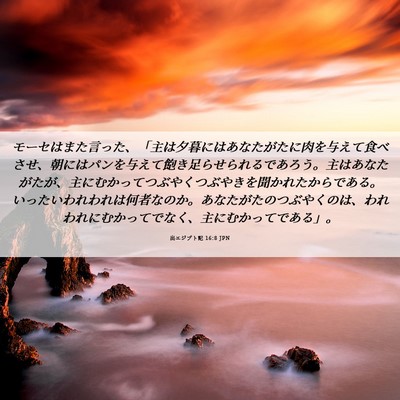 Picture 06 - 出エジプト記 16:8 JPN - モーセはまた言った、「主は夕暮に - Bible Verse Picture