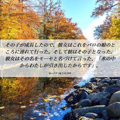 Picture 06 - 出エジプト記 2:10 JPN - その子が成長したので、彼女はこれ - Bible Verse Picture