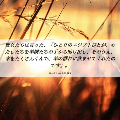 Picture 06 - 出エジプト記 2:19 JPN - 彼女たちは言った、「ひとりのエジ - Bible Verse Picture