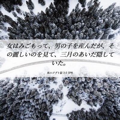 Picture 06 - 出エジプト記 2:2 JPN - 女はみごもって、男の子を産んだが - Bible Verse Picture