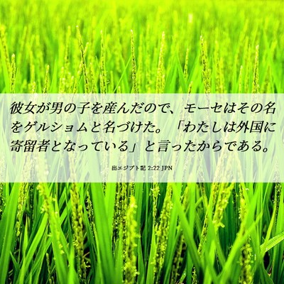 Picture 06 - 出エジプト記 2:22 JPN - 彼女が男の子を産んだので、モーセ - Bible Verse Picture