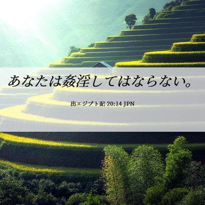 Picture 06 - 出エジプト記 20:14 JPN - あなたは姦淫してはならない。 - Bible Verse Picture