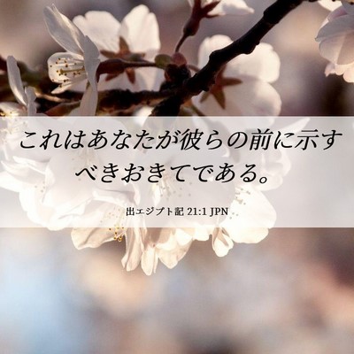Picture 06 - 出エジプト記 21:1 JPN - これはあなたが彼らの前に示すべき - Bible Verse Picture