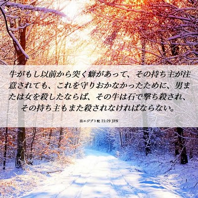Picture 06 - 出エジプト記 21:29 JPN - 牛がもし以前から突く癖があって、 - Bible Verse Picture