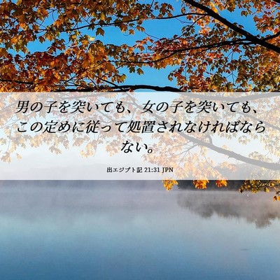 Picture 06 - 出エジプト記 21:31 JPN - 男の子を突いても、女の子を突いて - Bible Verse Picture