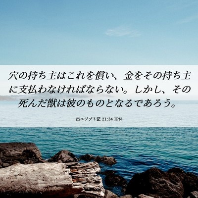 Picture 06 - 出エジプト記 21:34 JPN - 穴の持ち主はこれを償い、金をその - Bible Verse Picture