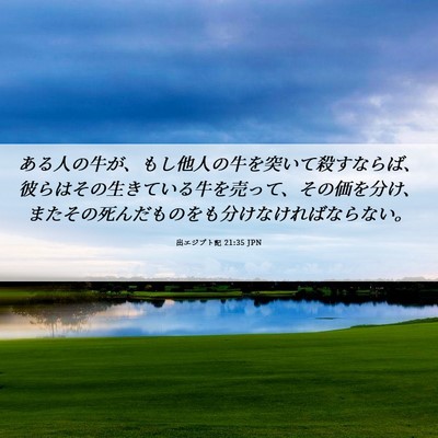 Picture 06 - 出エジプト記 21:35 JPN - ある人の牛が、もし他人の牛を突い - Bible Verse Picture