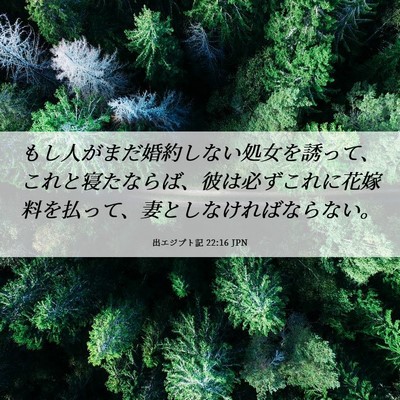 Picture 06 - 出エジプト記 22:16 JPN - もし人がまだ婚約しない処女を誘っ - Bible Verse Picture