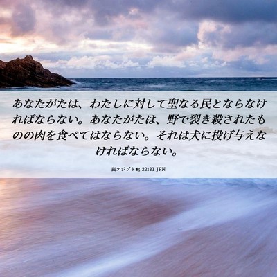 Picture 06 - 出エジプト記 22:31 JPN - あなたがたは、わたしに対して聖な - Bible Verse Picture