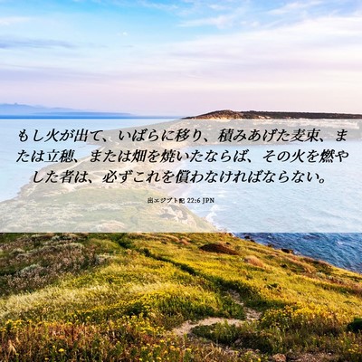 Picture 06 - 出エジプト記 22:6 JPN - もし火が出て、いばらに移り、積み - Bible Verse Picture