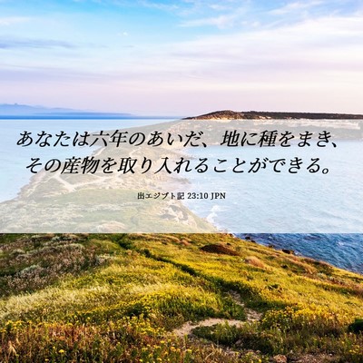 Picture 06 - 出エジプト記 23:10 JPN - あなたは六年のあいだ、地に種をま - Bible Verse Picture