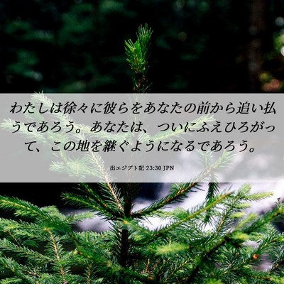 Picture 06 - 出エジプト記 23:30 JPN - わたしは徐々に彼らをあなたの前か - Bible Verse Picture