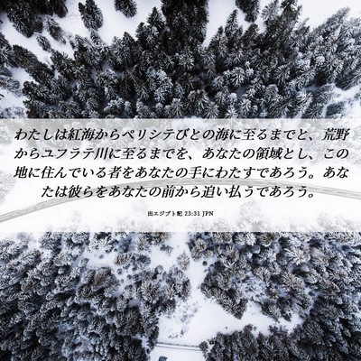 Picture 06 - 出エジプト記 23:31 JPN - わたしは紅海からペリシテびとの海 - Bible Verse Picture