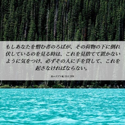 Picture 06 - 出エジプト記 23:5 JPN - もしあなたを憎む者のろばが、その - Bible Verse Picture