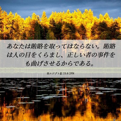Picture 06 - 出エジプト記 23:8 JPN - あなたは賄賂を取ってはならない。 - Bible Verse Picture