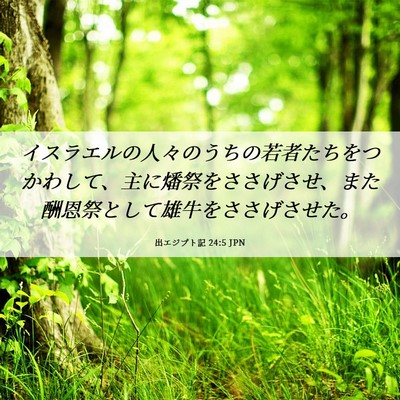 Picture 06 - 出エジプト記 24:5 JPN - イスラエルの人々のうちの若者たち - Bible Verse Picture