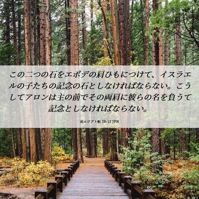 Picture 06 - 出エジプト記 28:12 JPN - この二つの石をエポデの肩ひもにつ - Bible Verse Picture