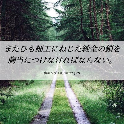 Picture 06 - 出エジプト記 28:22 JPN - またひも細工にねじた純金の鎖を胸 - Bible Verse Picture