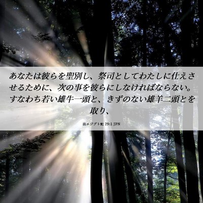 Picture 06 - 出エジプト記 29:1 JPN - あなたは彼らを聖別し、祭司として - Bible Verse Picture