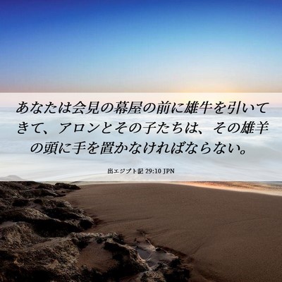 Picture 06 - 出エジプト記 29:10 JPN - あなたは会見の幕屋の前に雄牛を引 - Bible Verse Picture
