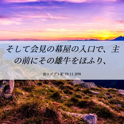 Picture 06 - 出エジプト記 29:11 JPN - そして会見の幕屋の入口で、主の前 - Bible Verse Picture