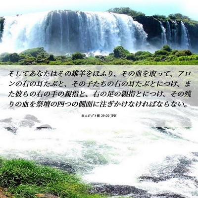 Picture 06 - 出エジプト記 29:20 JPN - そしてあなたはその雄羊をほふり、 - Bible Verse Picture