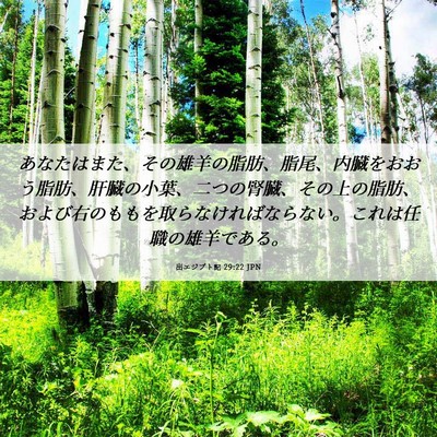 Picture 06 - 出エジプト記 29:22 JPN - あなたはまた、その雄羊の脂肪、脂 - Bible Verse Picture
