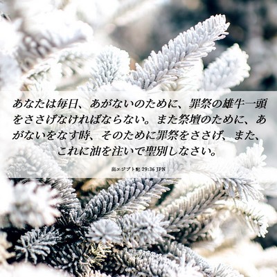 Picture 06 - 出エジプト記 29:36 JPN - あなたは毎日、あがないのために、 - Bible Verse Picture
