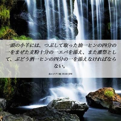 Picture 06 - 出エジプト記 29:40 JPN - 一頭の小羊には、つぶして取った油 - Bible Verse Picture