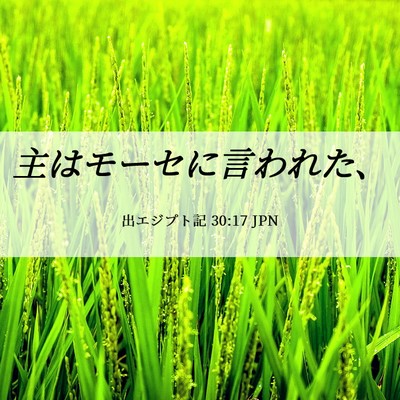 Picture 06 - 出エジプト記 30:17 JPN - 主はモーセに言われた、 - Bible Verse Picture