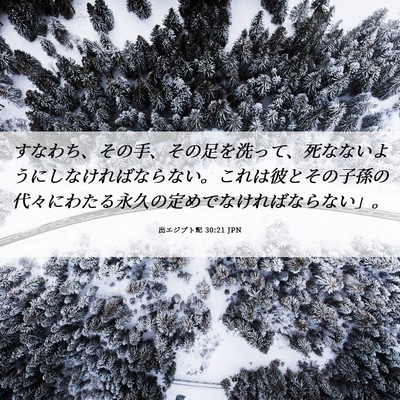 Picture 06 - 出エジプト記 30:21 JPN - すなわち、その手、その足を洗って - Bible Verse Picture