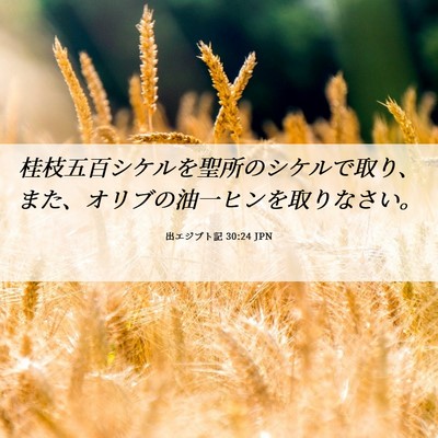 Picture 06 - 出エジプト記 30:24 JPN - 桂枝五百シケルを聖所のシケルで取 - Bible Verse Picture