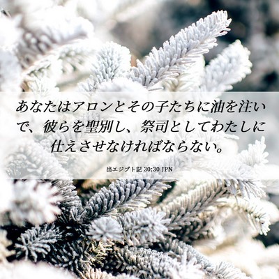Picture 06 - 出エジプト記 30:30 JPN - あなたはアロンとその子たちに油を - Bible Verse Picture