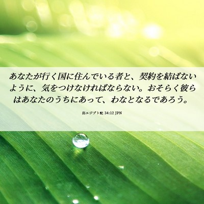 Picture 06 - 出エジプト記 34:12 JPN - あなたが行く国に住んでいる者と、 - Bible Verse Picture
