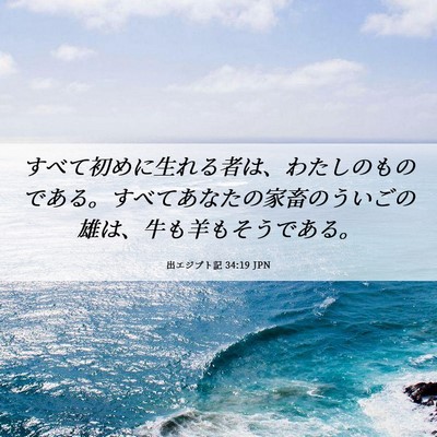 Picture 06 - 出エジプト記 34:19 JPN - すべて初めに生れる者は、わたしの - Bible Verse Picture