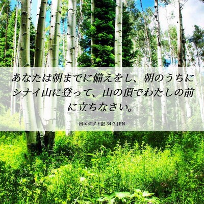 Picture 06 - 出エジプト記 34:2 JPN - あなたは朝までに備えをし、朝のう - Bible Verse Picture