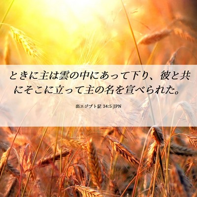Picture 06 - 出エジプト記 34:5 JPN - ときに主は雲の中にあって下り、彼 - Bible Verse Picture