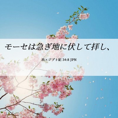 Picture 06 - 出エジプト記 34:8 JPN - モーセは急ぎ地に伏して拝し、 - Bible Verse Picture