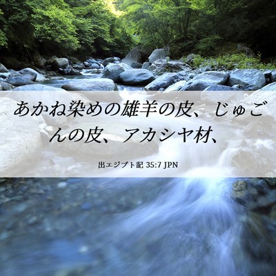 Picture 06 - 出エジプト記 35:7 JPN - あかね染めの雄羊の皮、じゅごんの - Bible Verse Picture