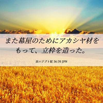 Picture 06 - 出エジプト記 36:20 JPN - また幕屋のためにアカシヤ材をもっ - Bible Verse Picture