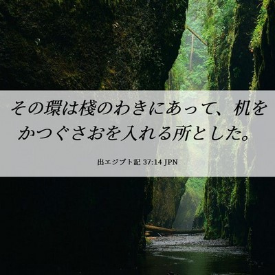 Picture 06 - 出エジプト記 37:14 JPN - その環は棧のわきにあって、机をか - Bible Verse Picture